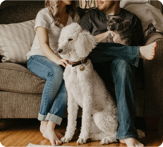 Couple with dog and cat on a couch